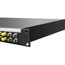 CANFORD FIBRE TERMINATION RACKCASE 1U 2x20 ST SM, black