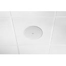 SHURE MXN5W-C LOUDSPEAKER Ceiling, networked, 5.25-inch, white