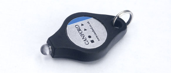 CANFORD LED KEYRING TORCH