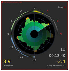 RTW RADAR SOFTWARE LICENCE Radar display