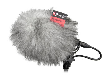 RYCOTE 021801 BBG WINDJAMMER