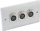 CANFORD CONNECTOR PLATE UK 2-gang, 3x XLR female, plastic