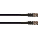 CANFORD CABLE BNC-BNC-SDV-L-50m, Black